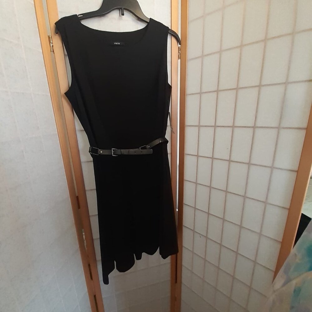 Ebony black dress by Style & Co.